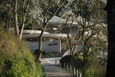 Buzzy Sunny· Feixue Pavilion